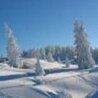 Gratis Schneeschuhwandern