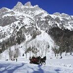Horse-drawn sleigh rides