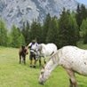 Reiten und Kutschfahrten
