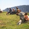 Flora & Fauna Tour