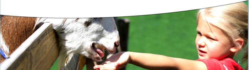 Werfenweng - Child friendly accommodation